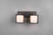 TRIO - LED Plafondspot - 2-lichts E14 - Rechthoek - Zwart Aluminium