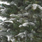 Black Box Trees Frosted Stelton Kunstkerstboom - H155 cm - Groen