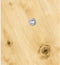 SWG Hox 17531667 Houtschroef 3 mm 16 mm T-profiel Staal Verzinkt 200 stuk(s)