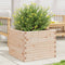 vidaXL - Plantenbak - 60x60x46 - cm - massief - grenenhout