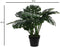 Mica Decorations Monstera - Kunstplant H60 x Ø80 cm - Onderhoudsvrij Groen