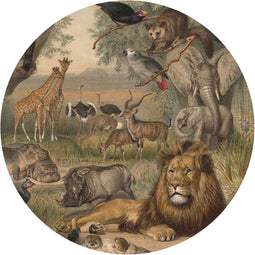 WallArt Behangcirkel Animals of Africa 142,5 cm