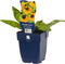 Helenium bigelovii 'The Bishop' | 1 stuk | Bloeiende vaste plant | bloemenpracht in de zomer | 11x11 cm Kwekerspot