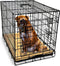 GoPets Hondenbench - Opvouwbaar - 2 Deuren - 91 x 57 x 64 cm - Zwart