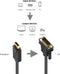 DisplayPort to DVI Converter Ewent EC1440 Black