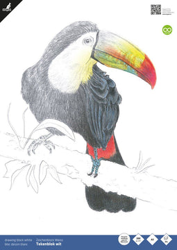 Kangaro tekenblok - A3 - 200 grams - 20 vel - wit fijne korrel - schetsblok - K-5332