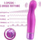 Blush Vibrator Love Toy Luxe Plus Divulge Paars