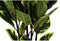 Decoratieve plant DKD Home Decor Polyethyleen Stads 40 x 40 x 90 cm
