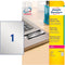 Avery L6013-20 - Beveiligingsetiketten - Scheurvast en bestand tegen extreme temperaturen - Zilver (20 stuks)