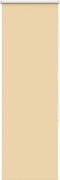 vidaXL - Rolgordijn - verduisterend - 40x175cm - stofbreedte - 35,7 - cm - polyester