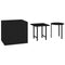 vidaXL - Tuinbijzettafels - 3 - st - poly - rattan - zwart