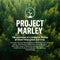 House of Marley Stir It Up Wireless - Platenspeler - Bluetooth - Ingebouwde voorversterker - Bamboe hout