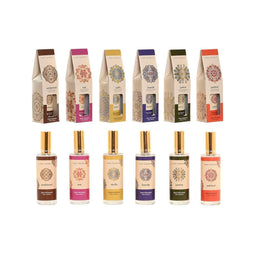 Luchtverfrisser Home ESPRIT 100 ml (6 Stuks)