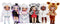 Na! Na! Na! Surprise 2-in-1 Cozy-serie - pinguïn - Modepop