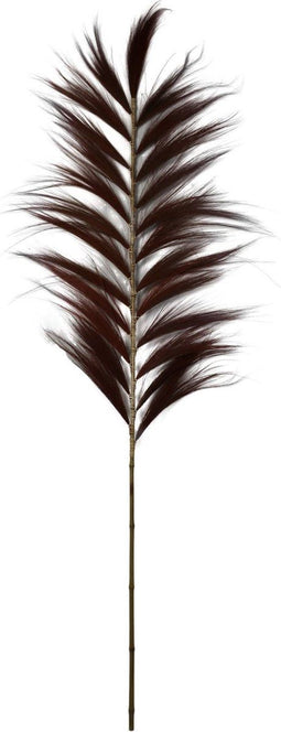 Decoratieve veer - 65x1.2-2x175 - Cognac - Bamboe