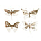 Wanddecoratie Home ESPRIT Gouden Vlinder 43 x 2 x 33 cm (4 Stuks)