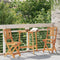 vidaXL - Vouwbare - Tuinstoelen - 2 - stuks - 36x46x85 - cm - Massief - Acaciahout