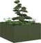 vidaXL - Plantenbak - 80x80x40 - cm - koudgewalst - staal - olijfgroen