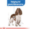 Royal Canin Light Weight Care Medium - Hondenvoer - 3 kg