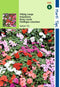 3 stuks - Hortitops - HT Impatiens, Vlijtig Liesje Safari F2 gemengd