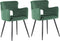 SANILAC - Eetkamerstoel set van 2 - Groen - Fluweel