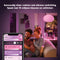 Philips Hue Flourish - Hanglamp - Bluetooth bediening - Wit en kleur (1x)