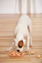 Nina Ottosson Dog Smart - Hondendenkspel - Voor jonge honden - Blauw