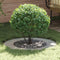 vidaXL - Plantenring - Ø50/80 - cm - Gecoat - Staal