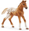 schleich HORSE CLUB - Lisa's toernooitraining - Kinderspeelgoed - Paarden speelgoed - 3 Appaloosa's en Hindernissen - 17 onderdelen