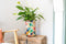 TS Collection - Bloempot hoog Sparkle spring - 30x42 - Metaal & Epoxy - Exclusieve woonitems voor binnen - Handgemaakt - Unieke print - Designed by Lammie
