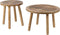 Zuiver Dendron Bijzettafel Rond 43 cm Mangohout - Bruin