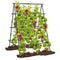 Coast Klimrek - A-Frame - Metaal - Tuinnet - Plantenclips - 130x105x151 cm - Zwart