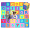 Gofun Speelmat XL - 180 x 180 cm - Foam - Opvouwbaar - Educatief - 36 tegels