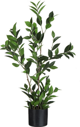 J-Line plant Laurier In Pot - kunststof - groen - large