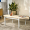 Furntastik Felgueiras Salontafel ovaal, 120x60 cm, golden pure