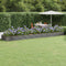 vidaXL - Plantenbak - 600x140x36 - cm - gepoedercoat - staal - grijs