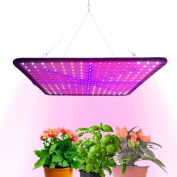 a sunny day LED groeilamp - kweeklamp - full spectrum - groei & bloei - grow light - groeilamp full