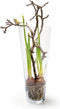 Conische vaas 'everest' h40 d17 cm