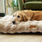 Scruffs Alpine - Hondenkussen - Luxe imitatie konijnenbont - Champagne - Large 100 x 70 cm