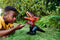 Jurassic World Dominion Ongekooid Wild Brullende Spookdino - Pyroraptor - Dinosaurus Speelgoed