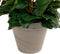 Mica Decorations Begonia - Kunstplant - Donkerroze - 37 cm