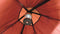 Easy Camp Tent Bolide 400 - Rood - 4 Persoons