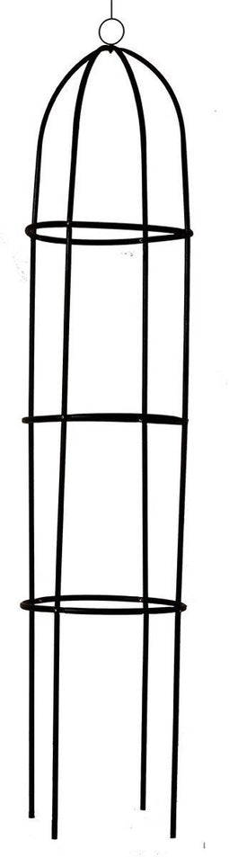 Kinzo Rozenzuil - Plantensteun Rond 185x40cm - Klimrek voor Rozen - Zwart