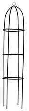 Kinzo Rozenzuil - Plantensteun Rond 185x40cm - Klimrek voor Rozen - Zwart