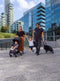 Chicco Trolley Me - Plooibuggy - Lichtgewicht - Lichtgrijs