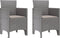 vidaXL - Tuinstoelen - met - Kussens - 2 - pcs - Lichtgrijs - Poly - Rattan