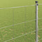 vidaXL - Veldomheining - 1,6x25 - m - Gegalvaniseerd - staal