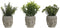 Decoratieve plant Home ESPRIT Polyethyleen Cement Boeddha 10 x 10 x 21 cm (3 Stuks)