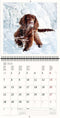 2026 Kalender schrijven 30 x 30 honden - gratis 2025