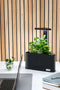 TEIG Home 3 - smart garden met LED verlichting - Zwart - (geautomatiseerd indoor kweekbak)
